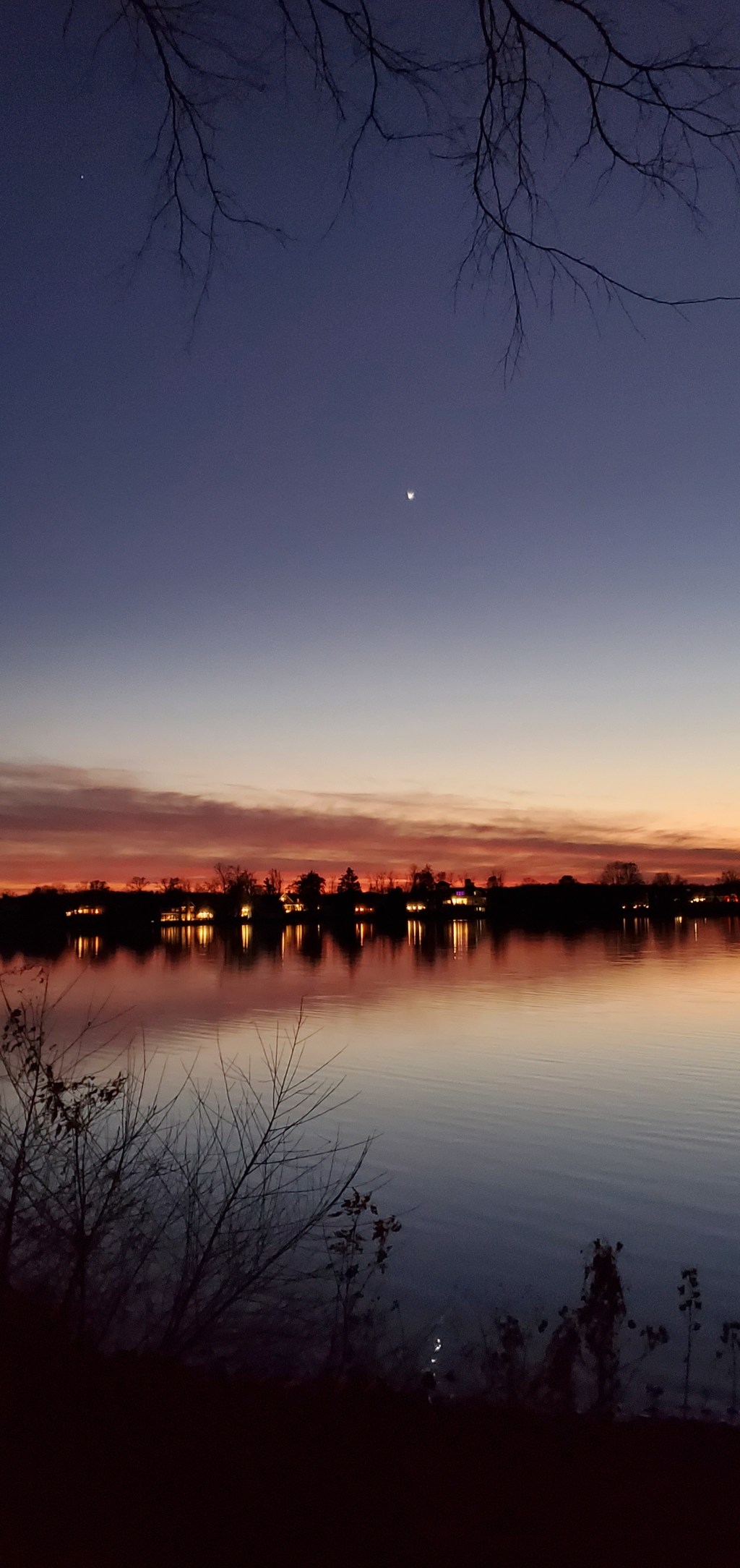Venus Rising