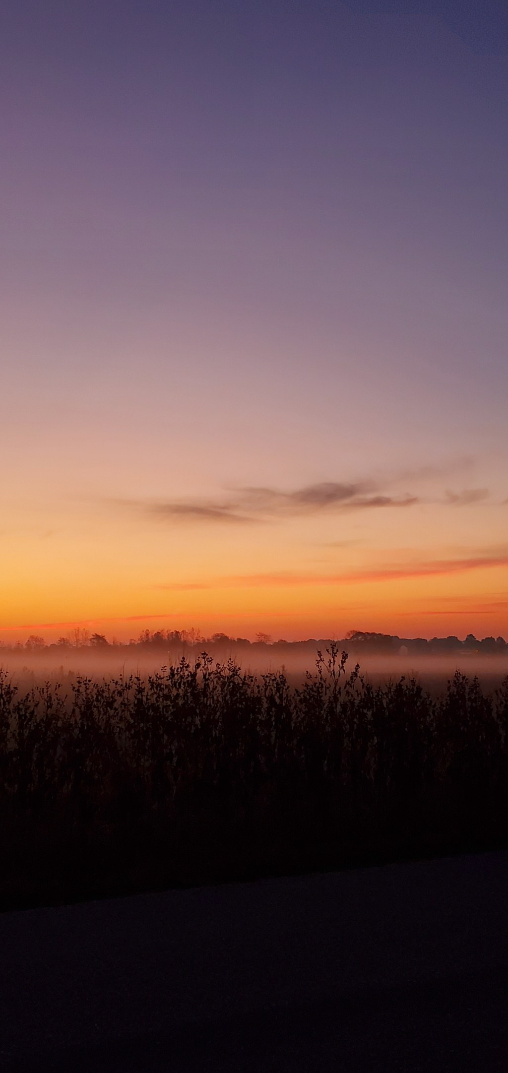 Remembering October