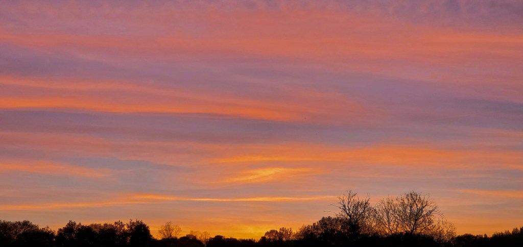 Evening Artwork