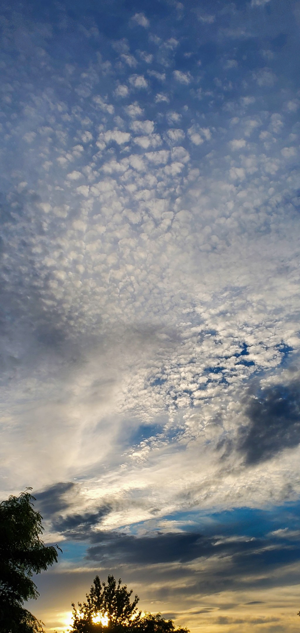 Beautiful June Sky
