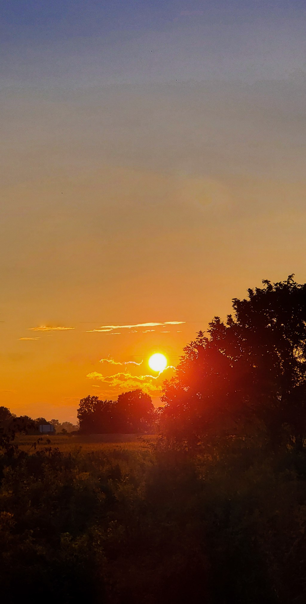 Hot Summer Sunset