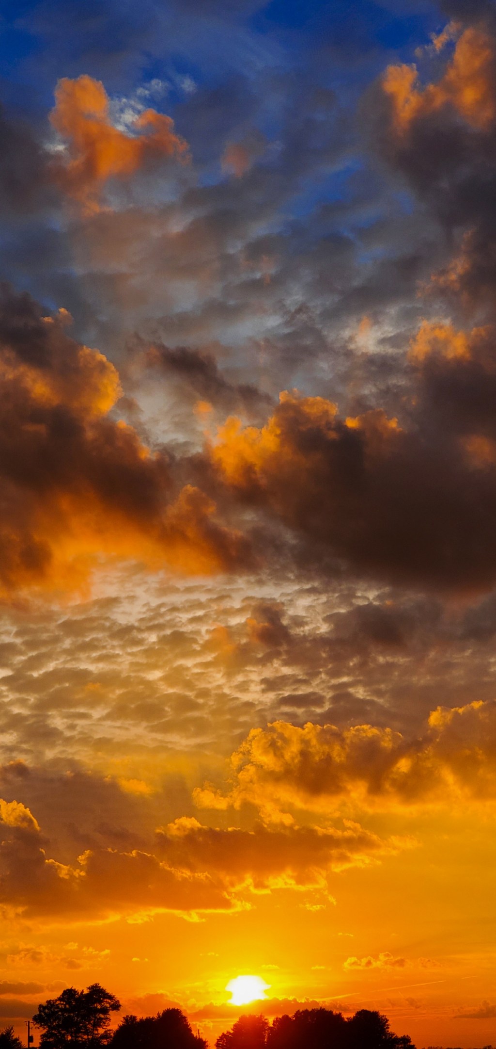 Love in the&nbsp;Sky