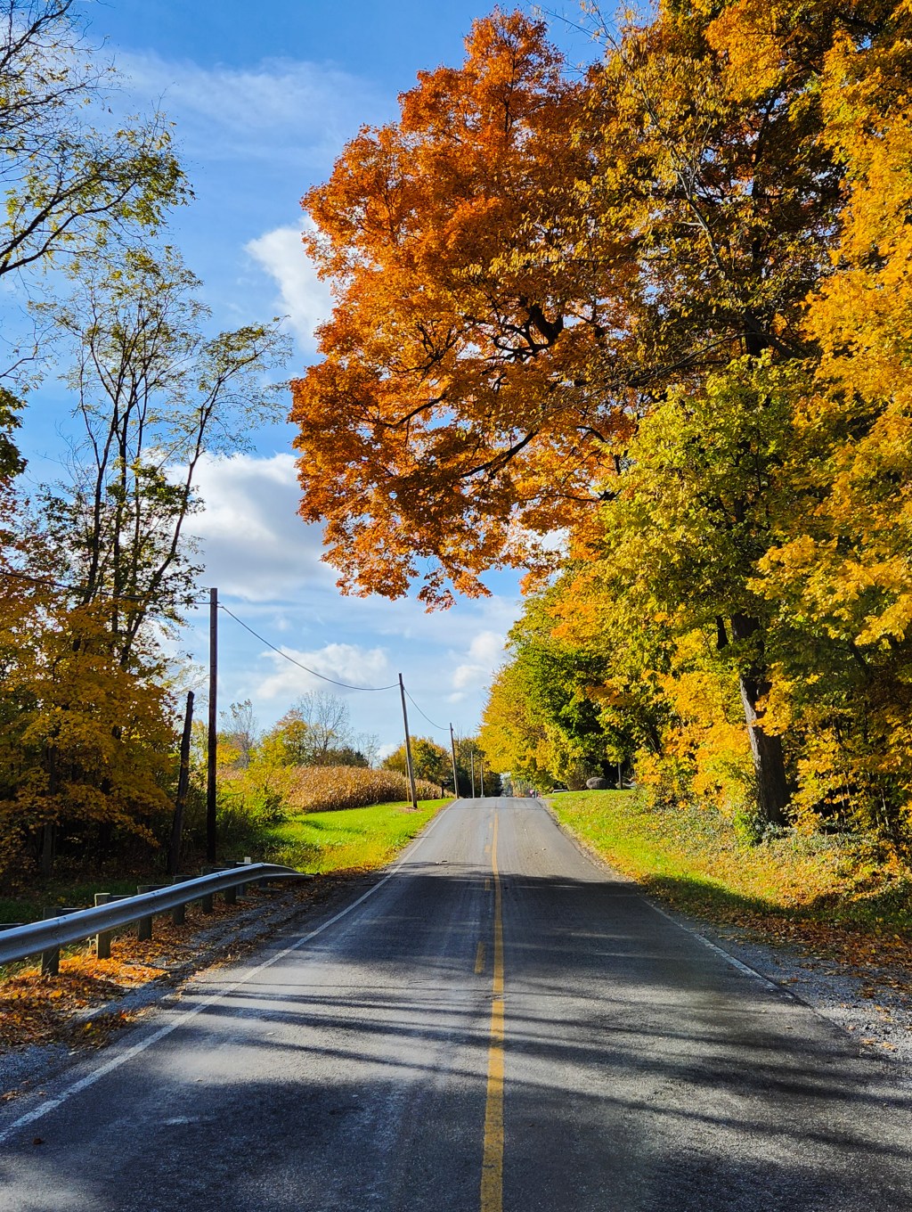 Autumn Colors