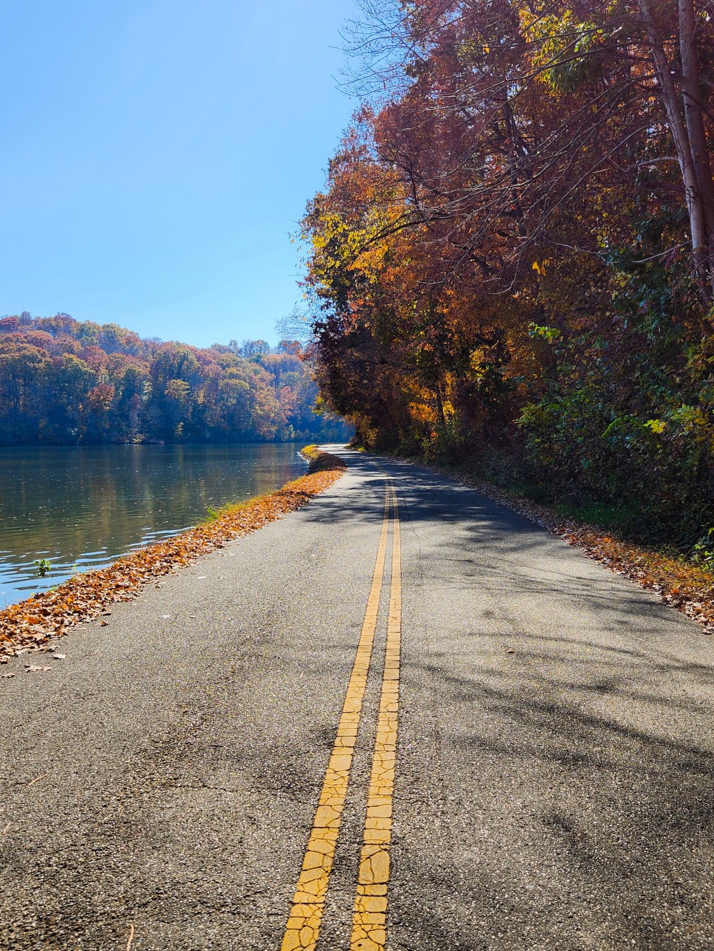 Autumn Lakeside Drive