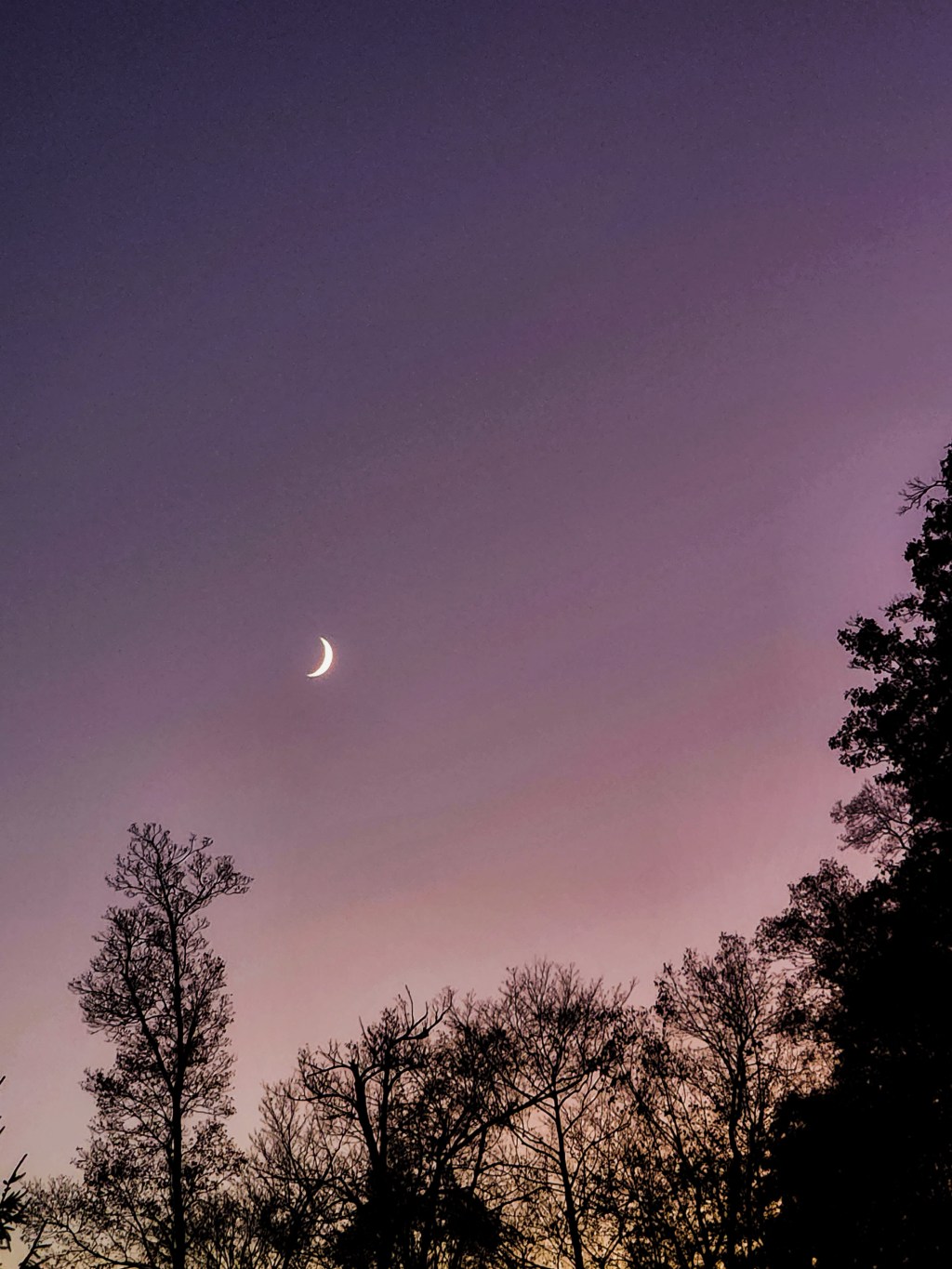 Past the Moon
