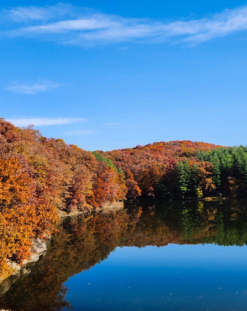 Autumn’s Perfection