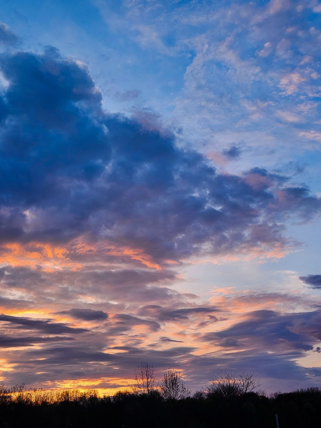 Appreciation of Beauty