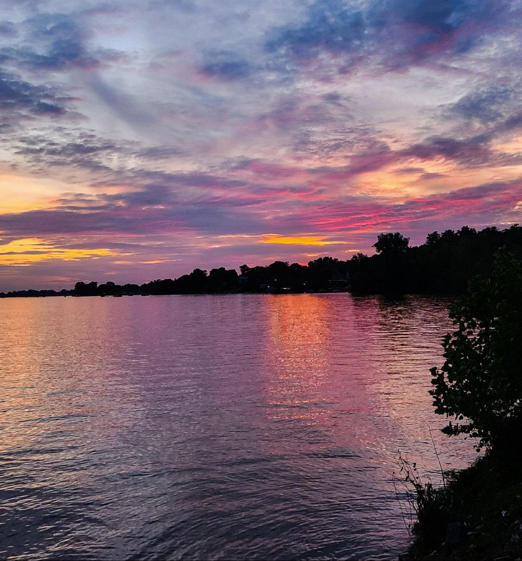 Under the Purple Sky