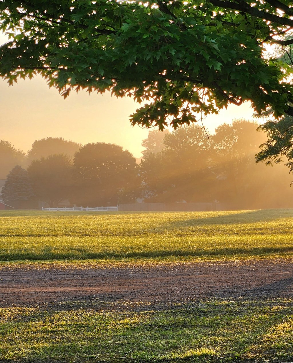Morning’s Embrace