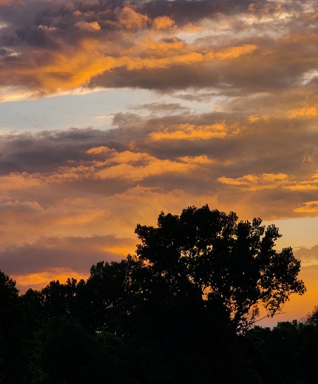 Golden Brilliance of&nbsp;Dusk