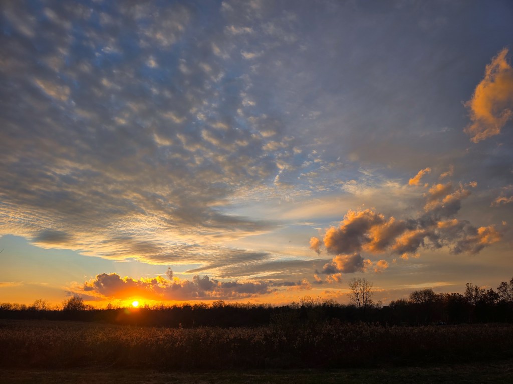 Echoes of Autumn&nbsp;Light