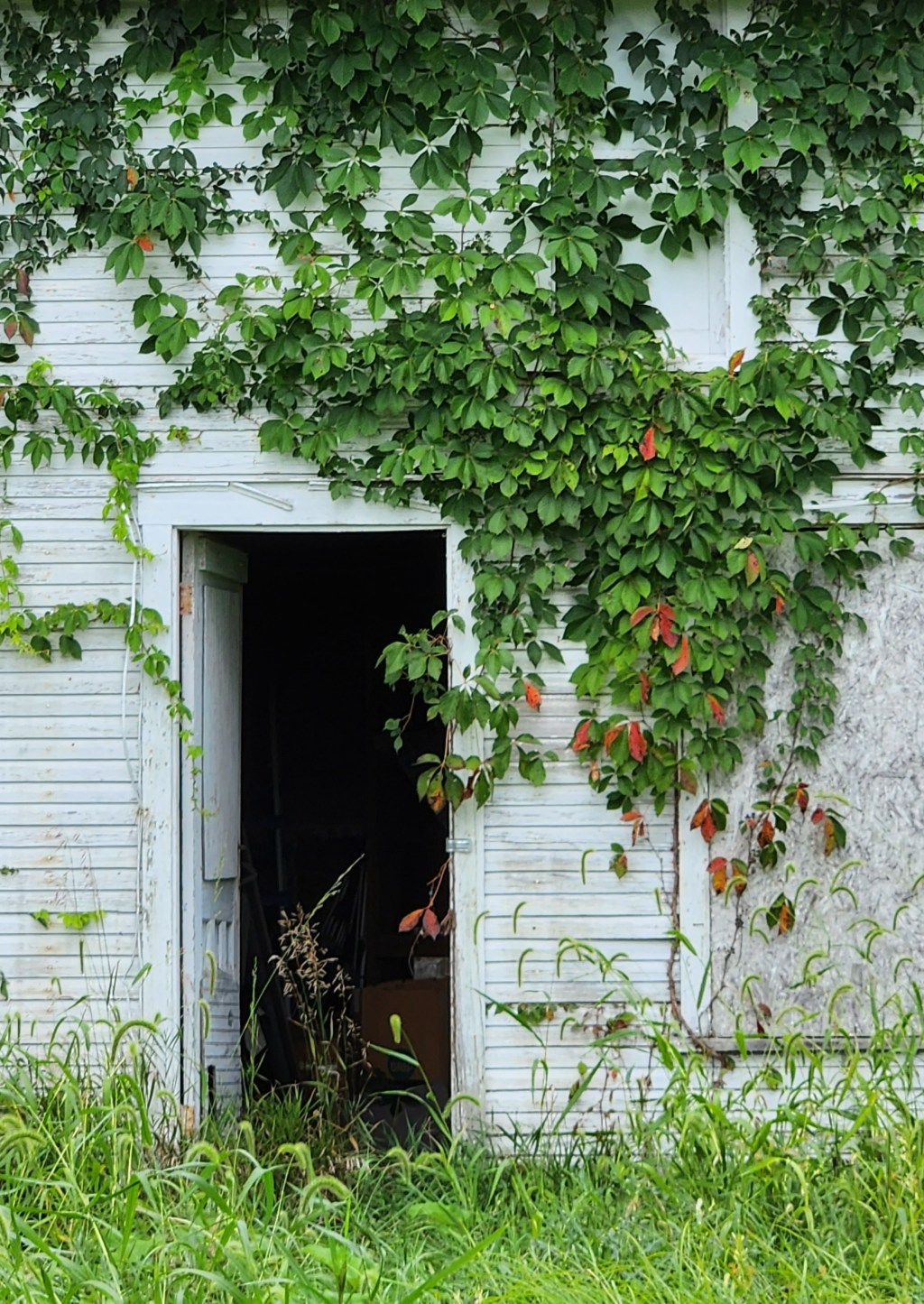 Doorway to Yesterday