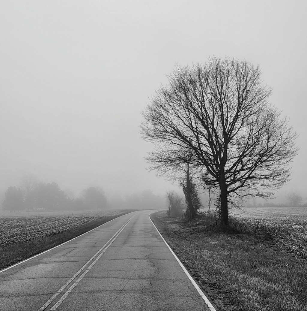 December’s Foggy Embrace