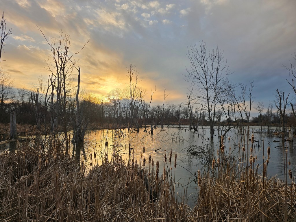 Hope in the&nbsp;Shallows