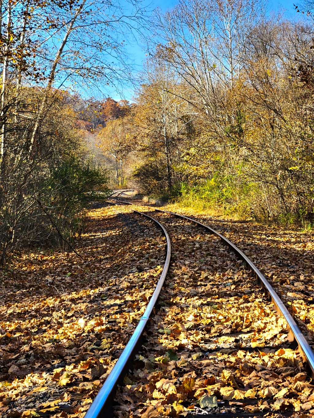 Autumn’s Sojourning Moment