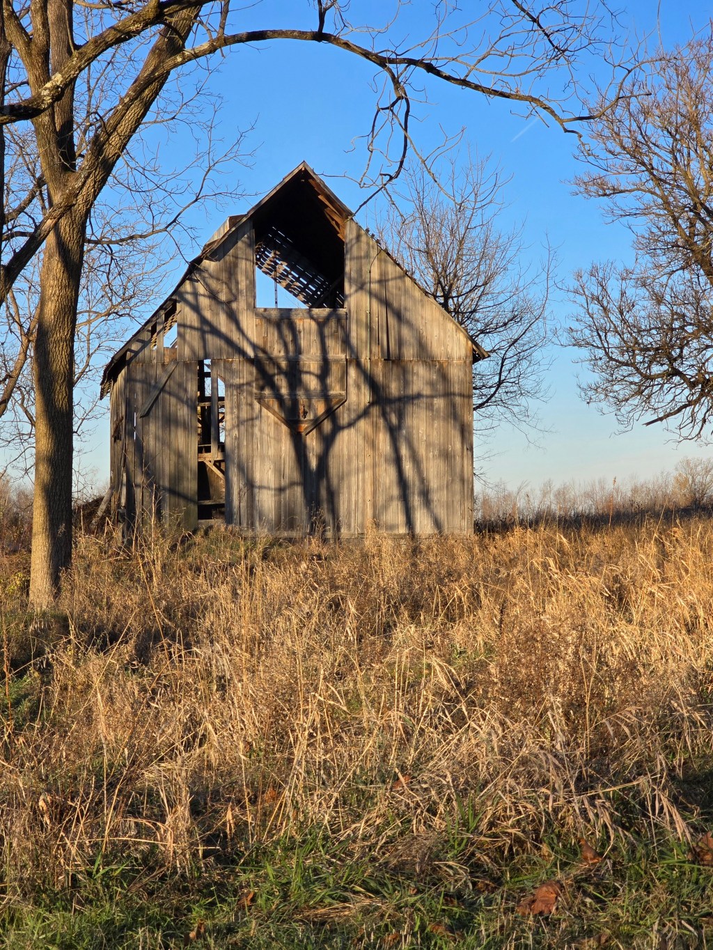 Stitched in Shadows