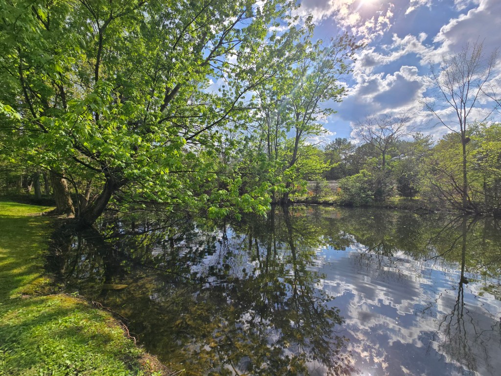 Between Worlds